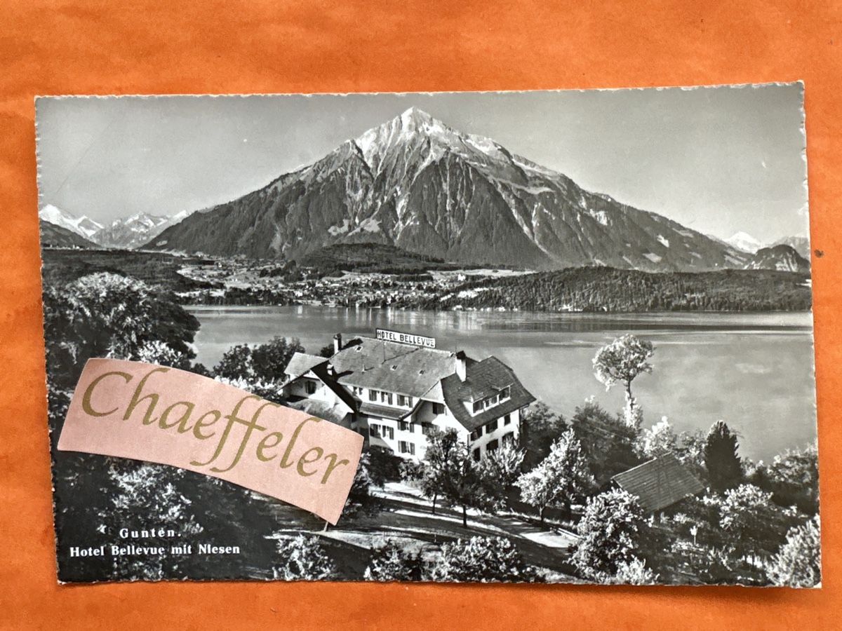 Cartes postales: Gunten.  Hotel Bellevue mit Niesen – D'occasion à Zürich par Chaeffeler