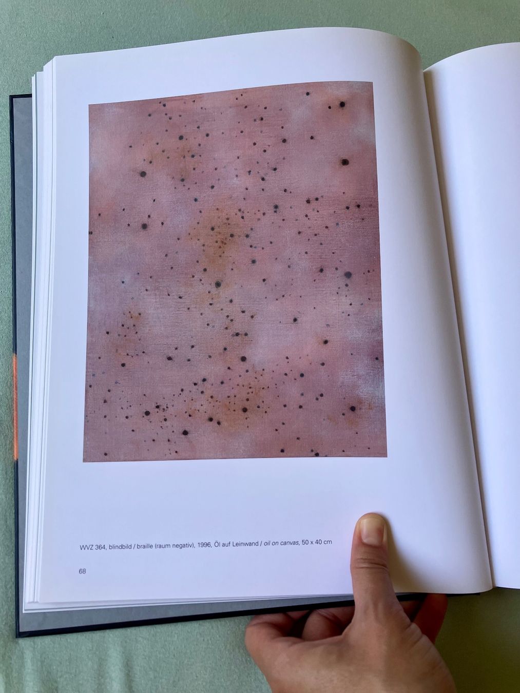 Libri: Pascal Danz Werkverzeichnis / Catalogue raisonné. – Usato da Zürich venduto da mou_j96c 6