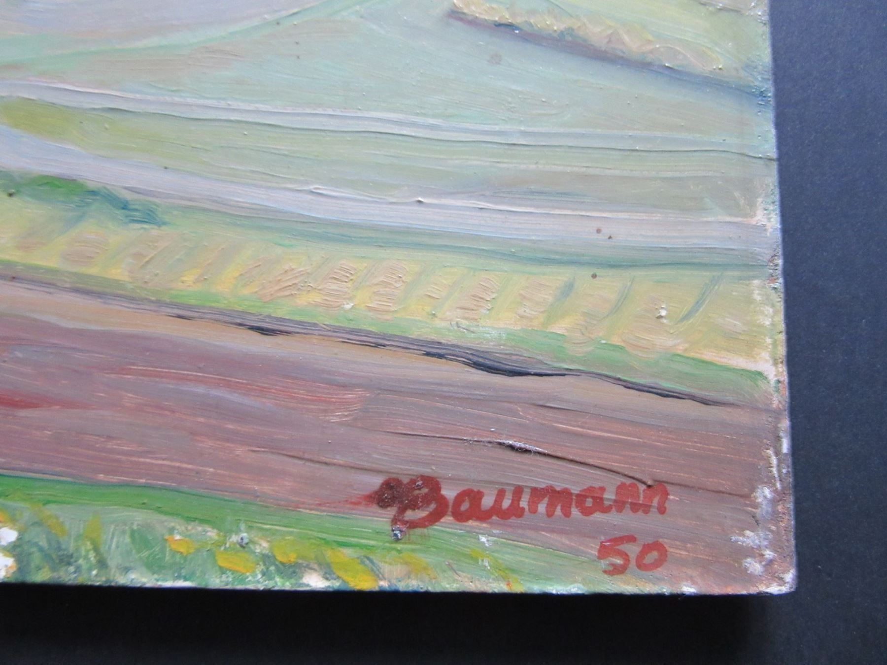Foto & Immagini: BAUMANN ORIGINAL OEL//refgest.1 – Usato da Gersau venduto da kunst-online 2