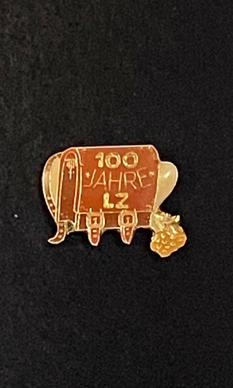 Placchette & Badge: Pin 100 Jahre LZ – Usato da Adliswil venduto da Manegg