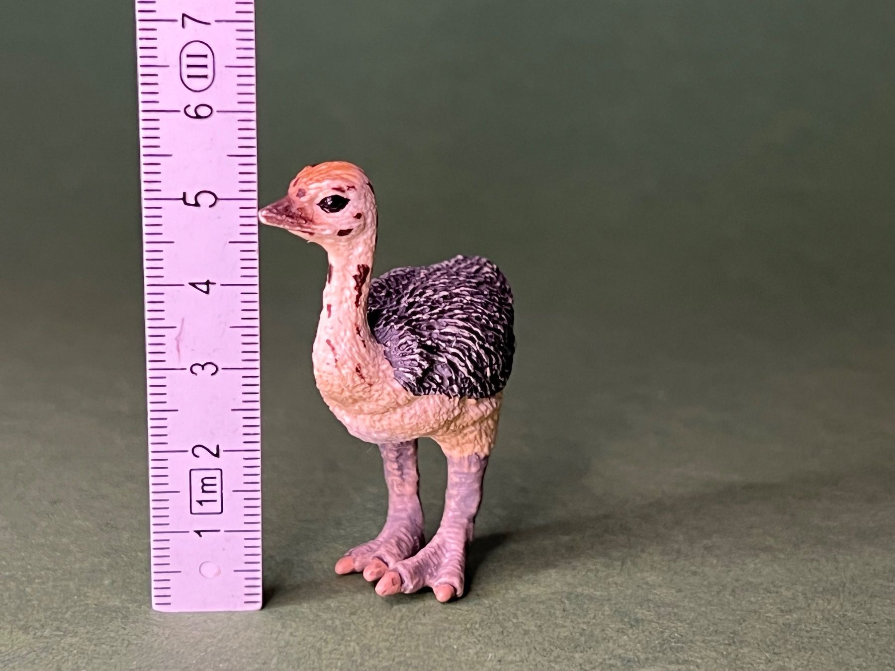 Schleich Figuren: Schleich 14398 Straussenjunges Strauss – Gebraucht aus Ennetbaden von mapa05 4