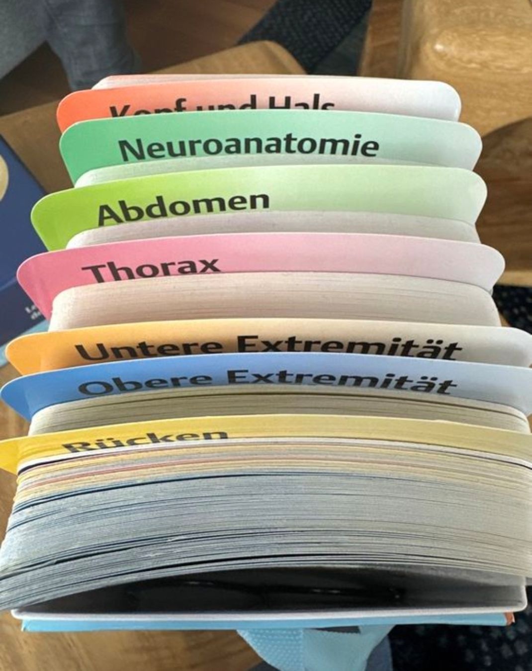 Autres fournitures scolaires: Prometheus Anatomielernkarten – D'occasion à Lausen par ramonaa.h 1