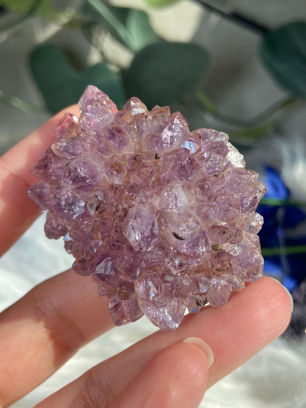 Pietre preziose: Amethyst Rosettte mit Goethit – Nuovo (secondo la descrizione) da Neuheim venduto da m.hald 5