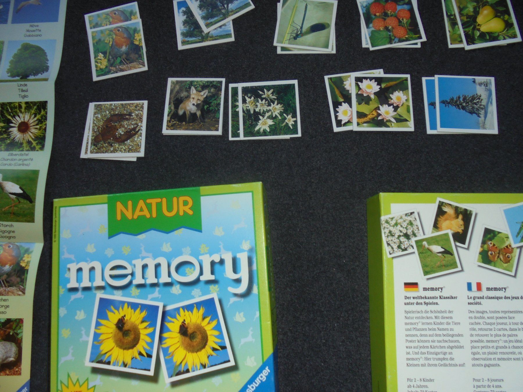 Ravensburger Giochi: Ravensburger Natur Memory 72 Kratern Spiel mit Poster – Usato da Rüschegg-Heubach venduto da Ofen111 5