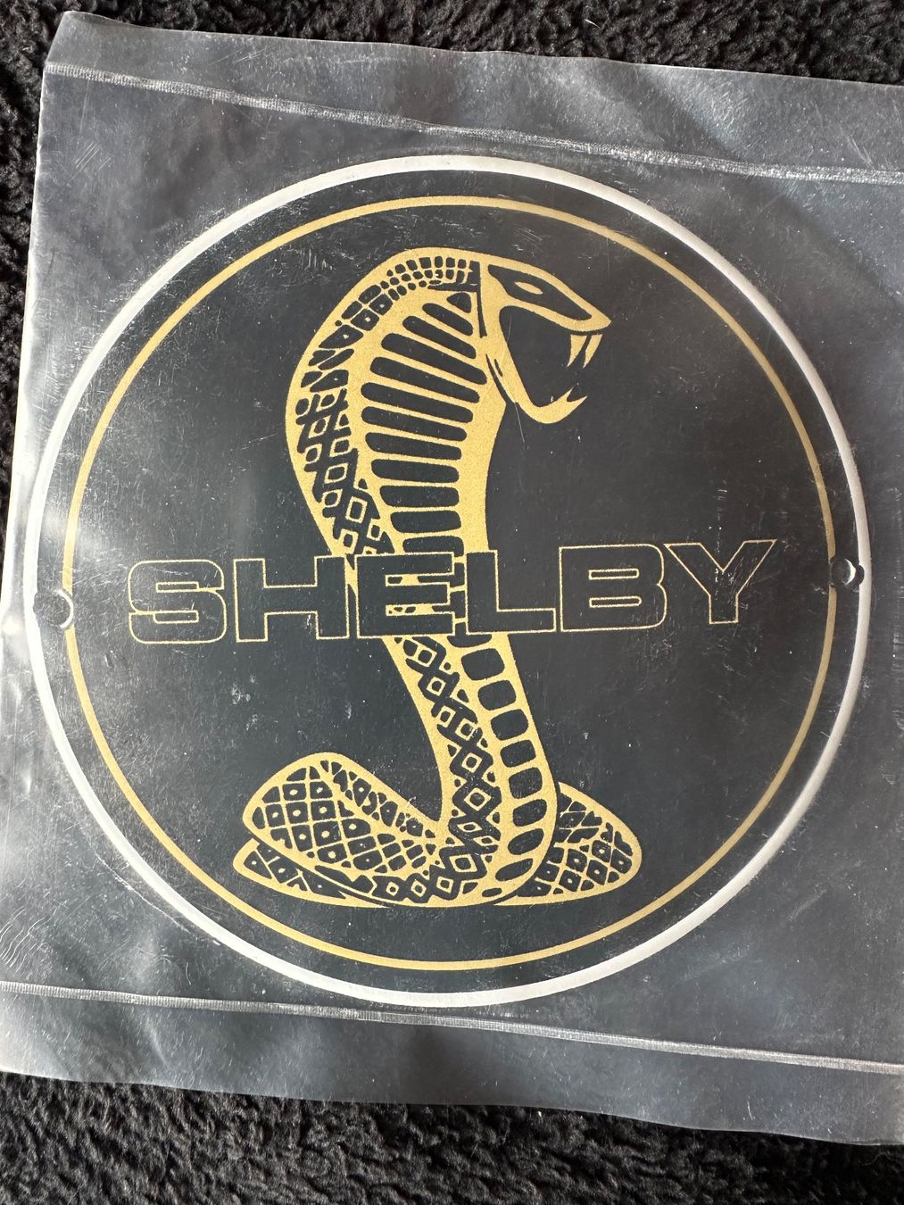 Insegne: Ford shelby mustang – Nuovo (secondo la descrizione) da Reinach AG venduto da rares75