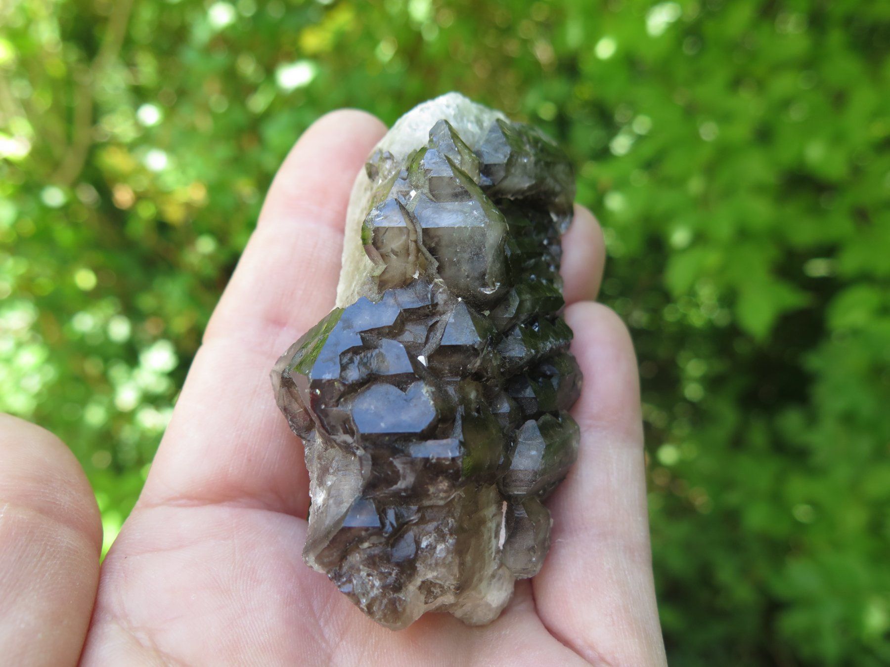 Mineralien & Heilsteine: Bergkristall var. Rauchquarz mit Castle – Gebraucht aus Schaffhausen von Yamakana51L8736OQ8 8