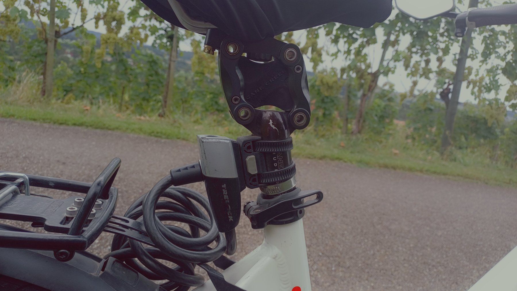 Stromer Biciclette: Stromer ST1 Pedelec, grunderneuert – Usato da Gachnang venduto da Lussli 6