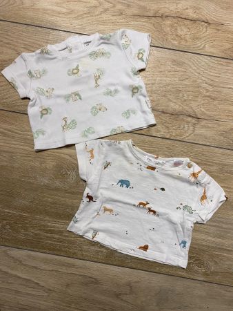 T-Shirt für Jungen Größe 62 Zara, Manor