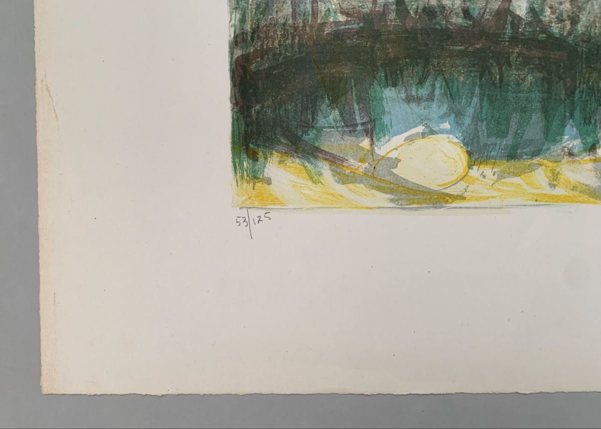 Grafica & Litografie: Schweizer Kunst - Ferruccio GAROPESANI (1914-1985) – Usato da Düdingen venduto da polytropon_5 2