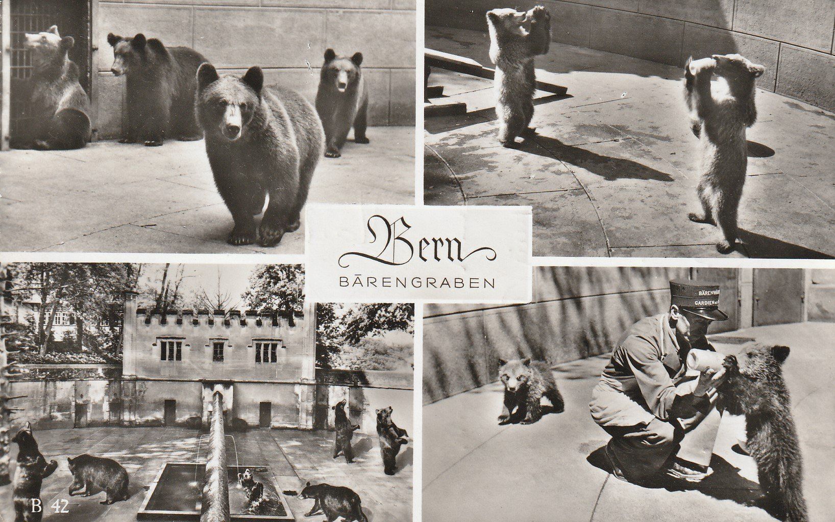 Cartoline postali: AK Bern gel. 8.10.1956 – Usato da Fribourg venduto da schnalla92