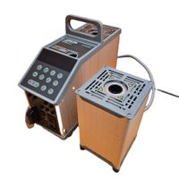 Ametek D55SE Temperaturkalibrator mit Turm!