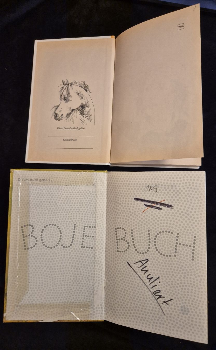 Libri: 2 Pferde-Bücher, Pferdegeschichten Set! – Usato da Halten venduto da GiMu.84 2