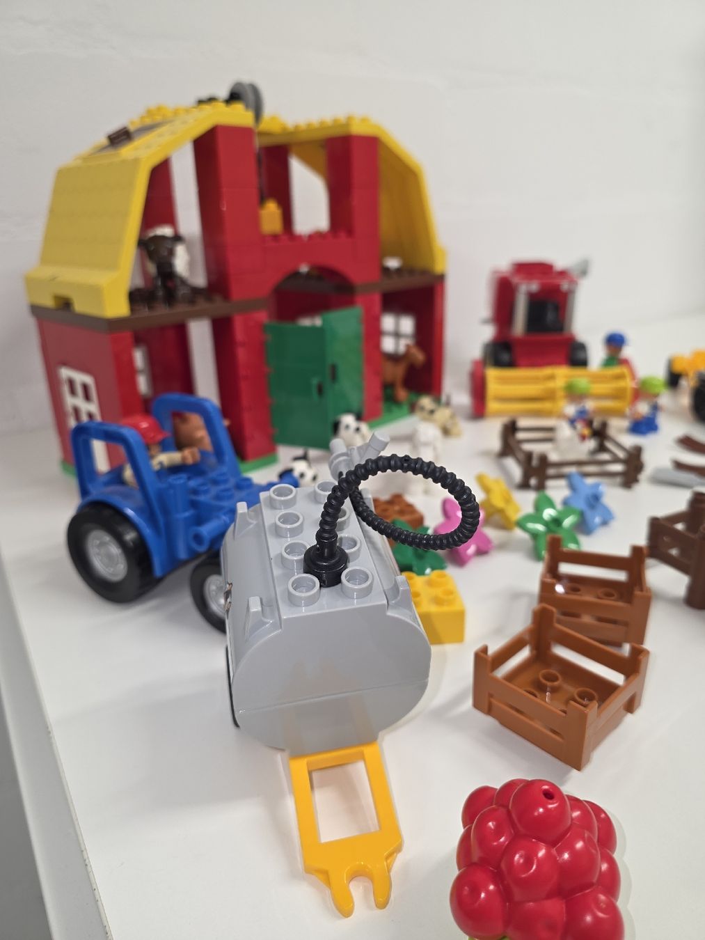 Lego Giocattoli: Lego Duplo – Usato da Arch venduto da Jamoa 3