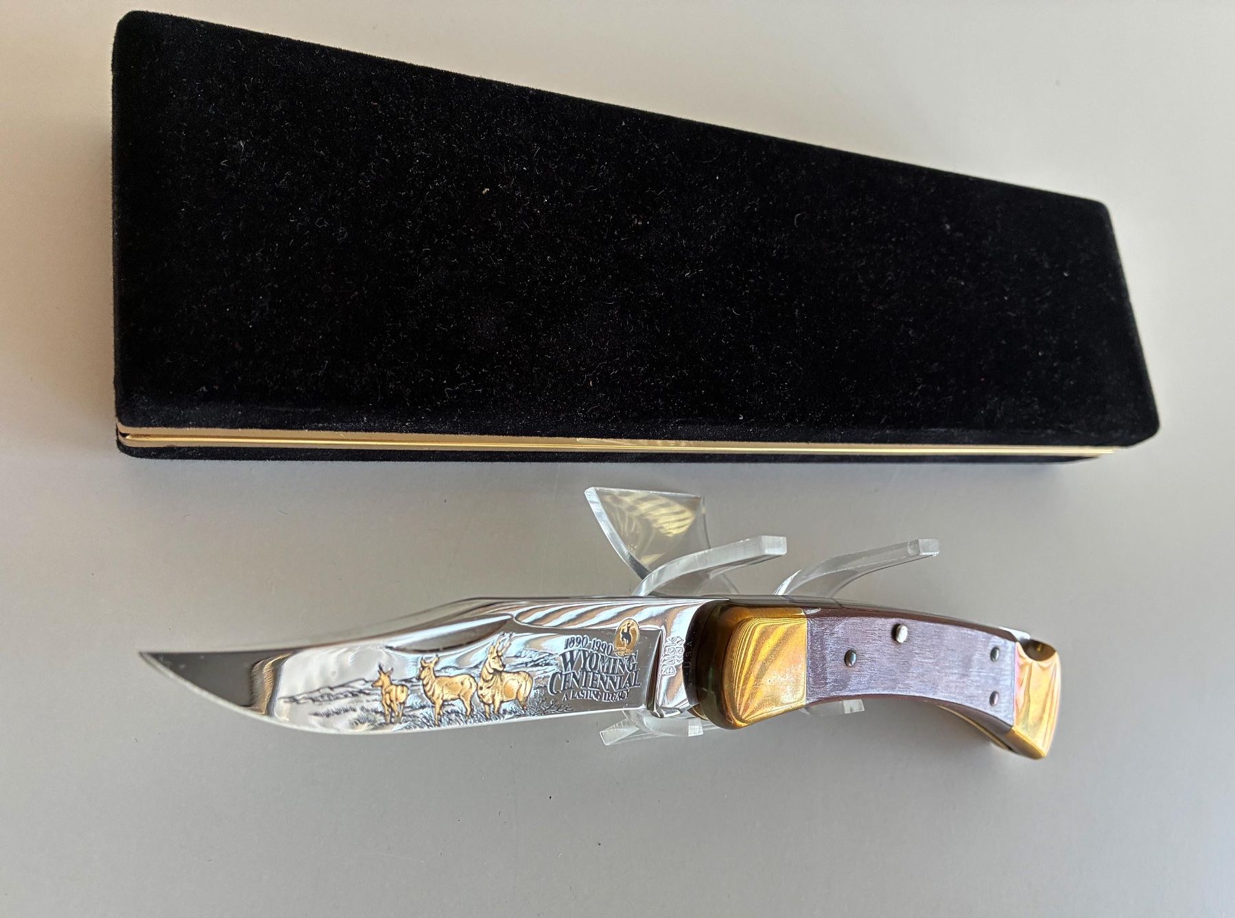Buck Zubehör: BUCK MESSER USA – Neu und originalverpackt aus Bäretswil von robsonantik 3