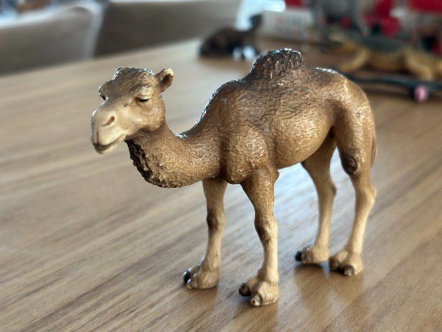 Schleich Statuette: Schleich Dromedar Sammelfigur – Usato da Fällanden venduto da SafariSchleichCH