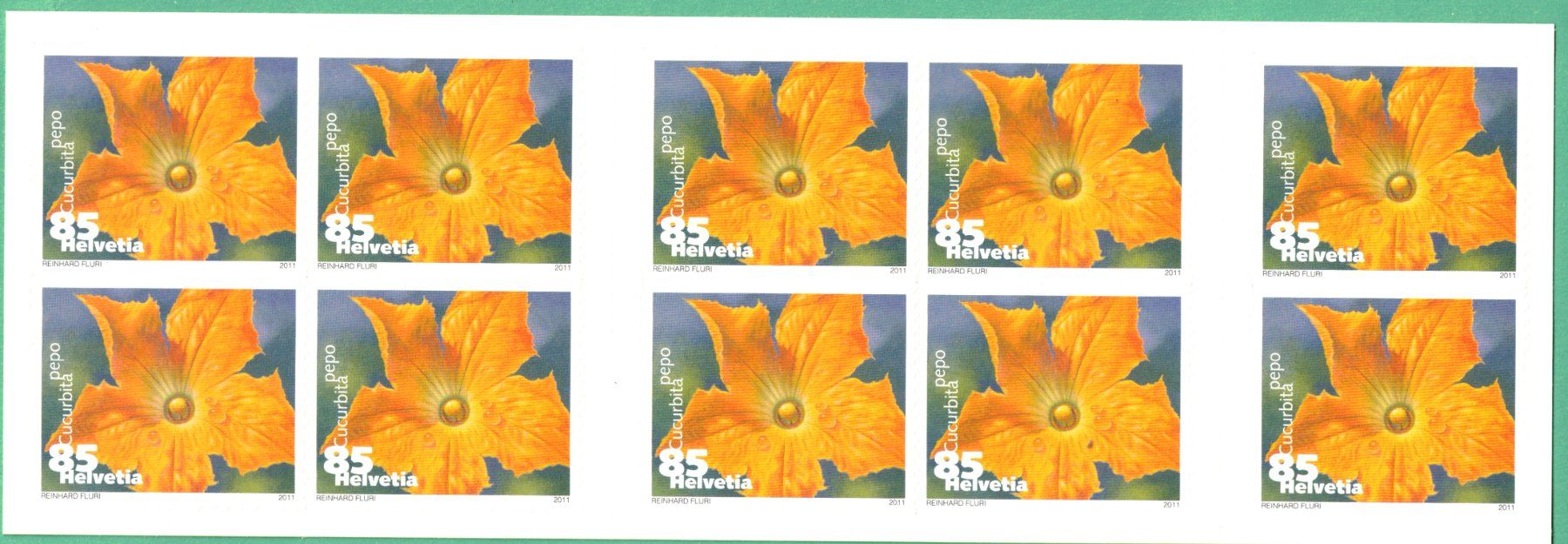Tutti i francobolli: 2011  Markeheft   Zucchini    postfrisch – Nuovo (secondo la descrizione) da Mellingen venduto da Ginger
