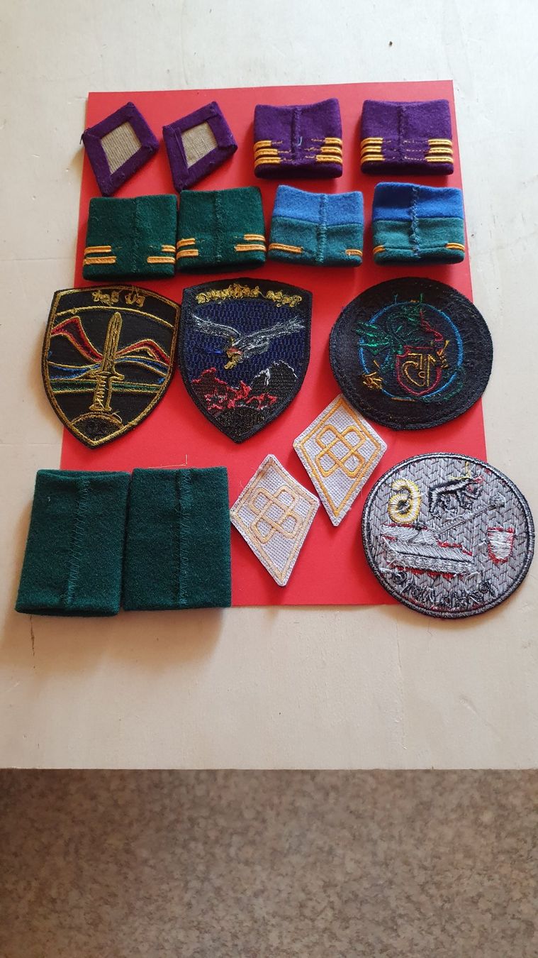 Schweizer Armee Placchette & Badge: Diverse Abzeichen Schweizer Militär – Usato da Richigen venduto da Auerhahn11 2