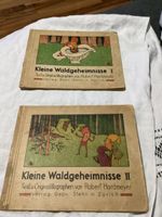 ANTIKES KINDERBUCH BAND 1 UND 2 ROBERT HARDMEYER RARITÄT
