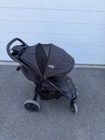 Joie Buggie