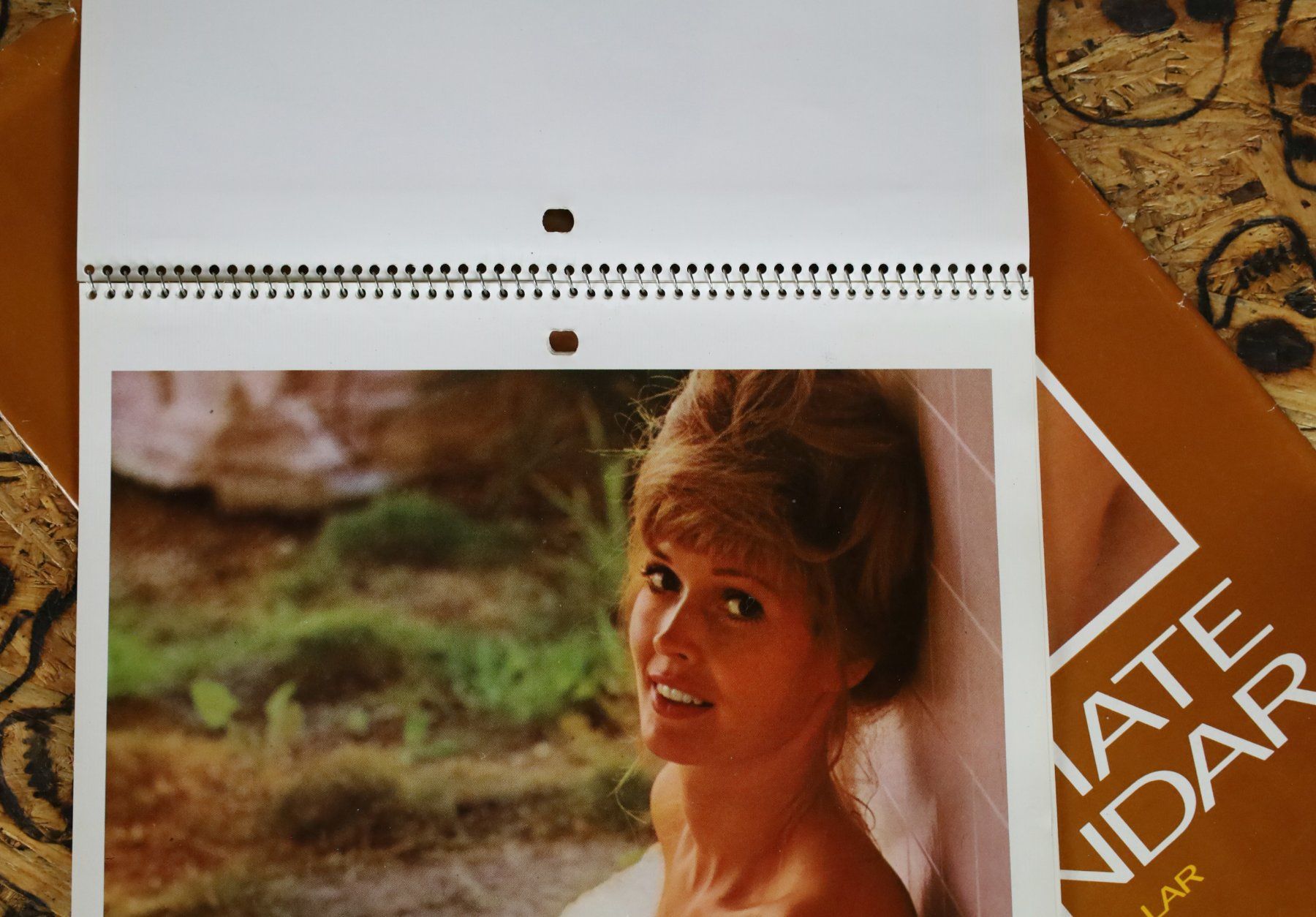 Playboy Calendari: PLAYBOY Kalender 1972 – Usato da Birrwil venduto da brandschatz_birrwil 4
