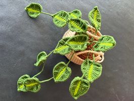 Gehäkelte Pflanze mit Übertopf Handarbeit Grün Gelb