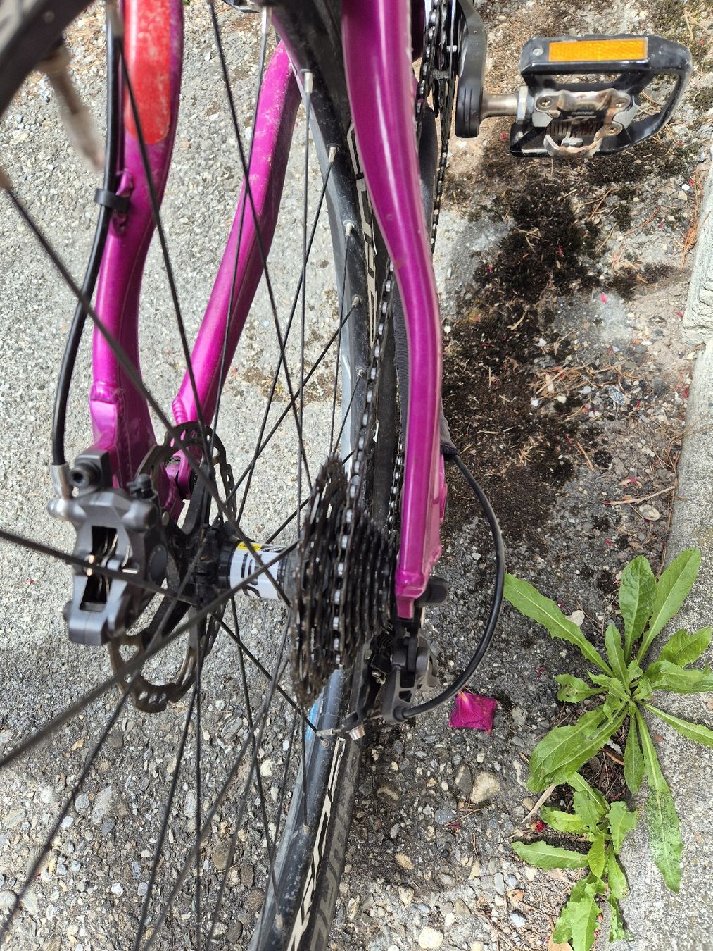 Price Velos: Mountainbike PRICE – Gebraucht aus Knonau von kamakh 2