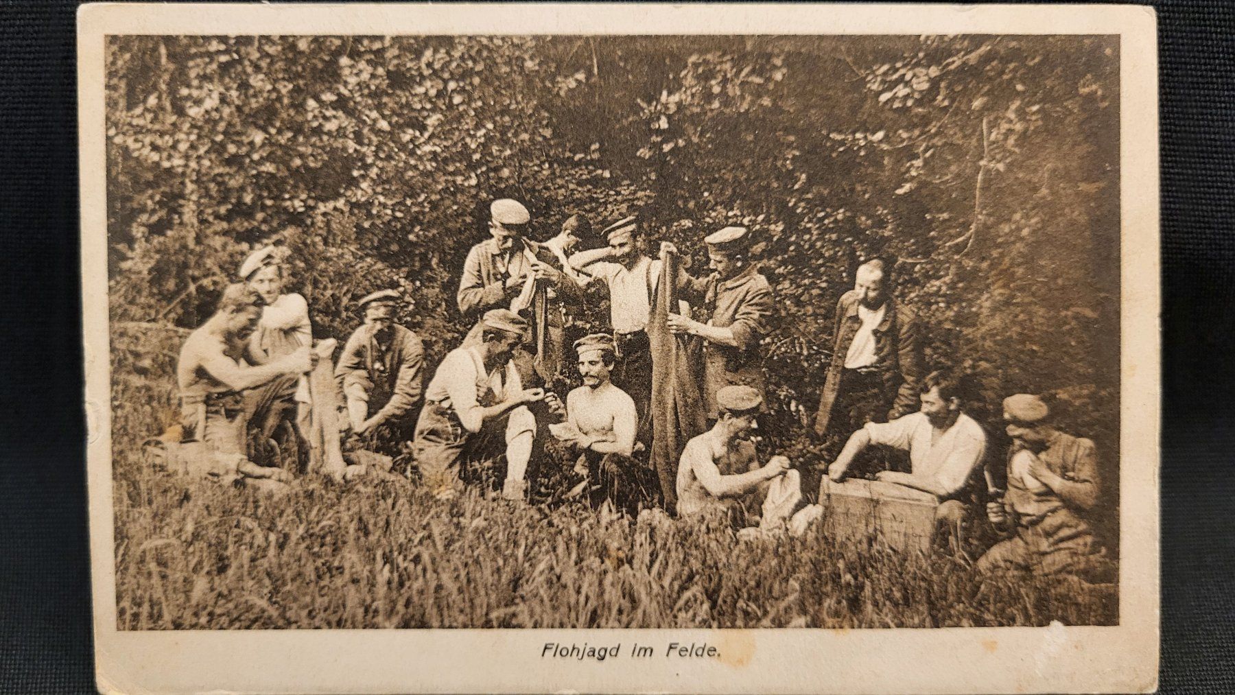 Cartes postales: Flohjagt im Felde – D'occasion à Basel par spinne02