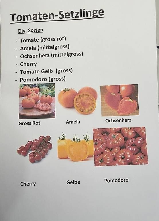 Piante & sementi: Cherry Tomaten Aktion günstig – Usato da Niederuzwil venduto da Naturfleisch 4