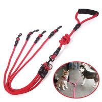 🎯 Hunde-Leine Koppelleine für 4 Hunde [NEU]