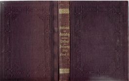 Bibliothek der Unterhaltung und des Wissens  1889