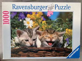 Puzzle zwei Kätzchen