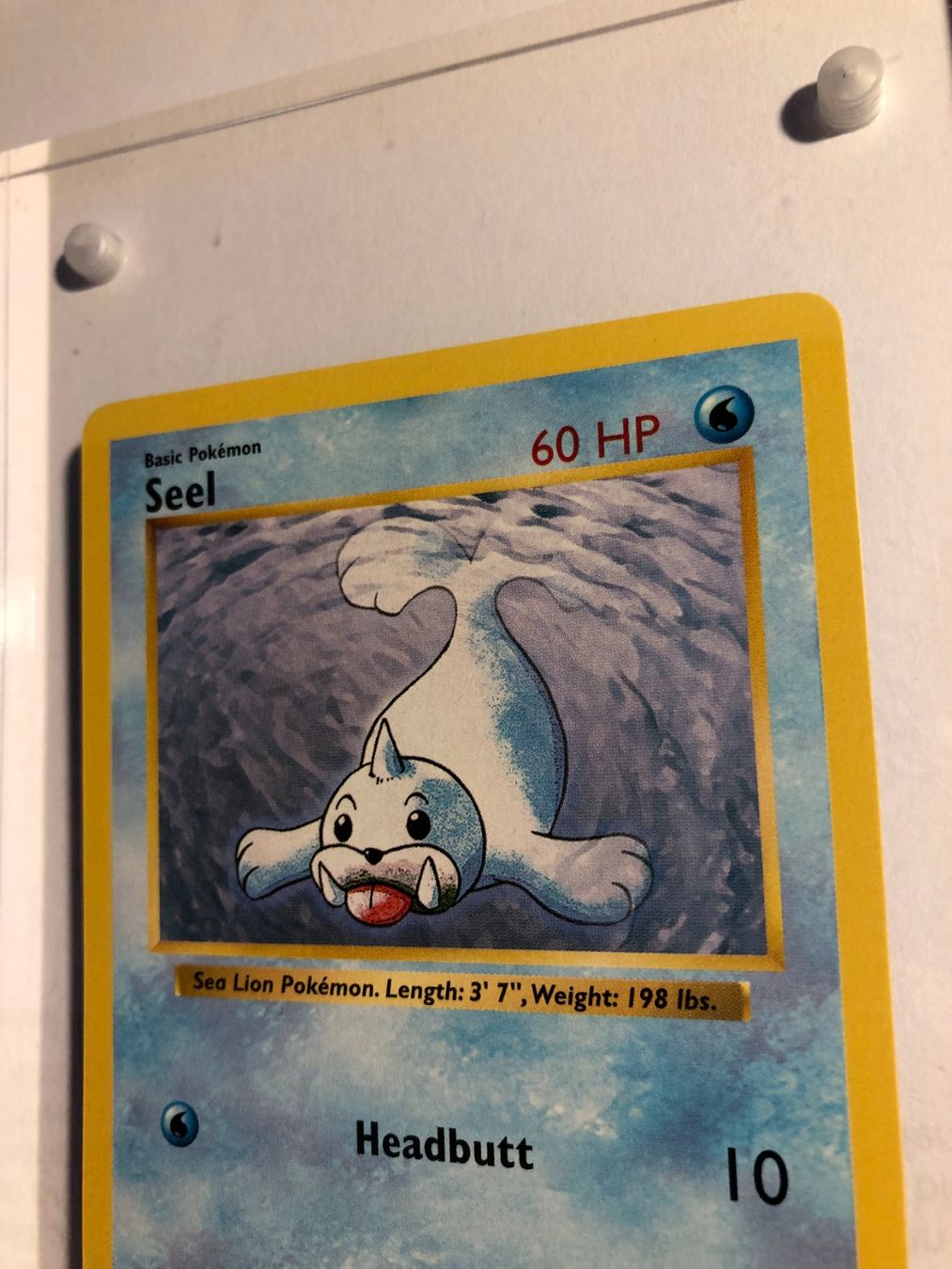 Sammelbilder & Trading cards: Seel (uncommon) Base Set Shadowless - MINT - ab 1.- – Gebraucht aus Giubiasco von dan_pr8b 3