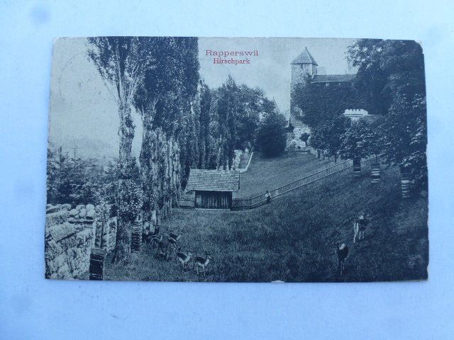 Cartes postales: Ansichtskarte Rapperswil Hirschpark 1909 – D'occasion à Walkringen par Casablanca777