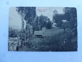 Ansichtskarte Rapperswil Hirschpark 1909