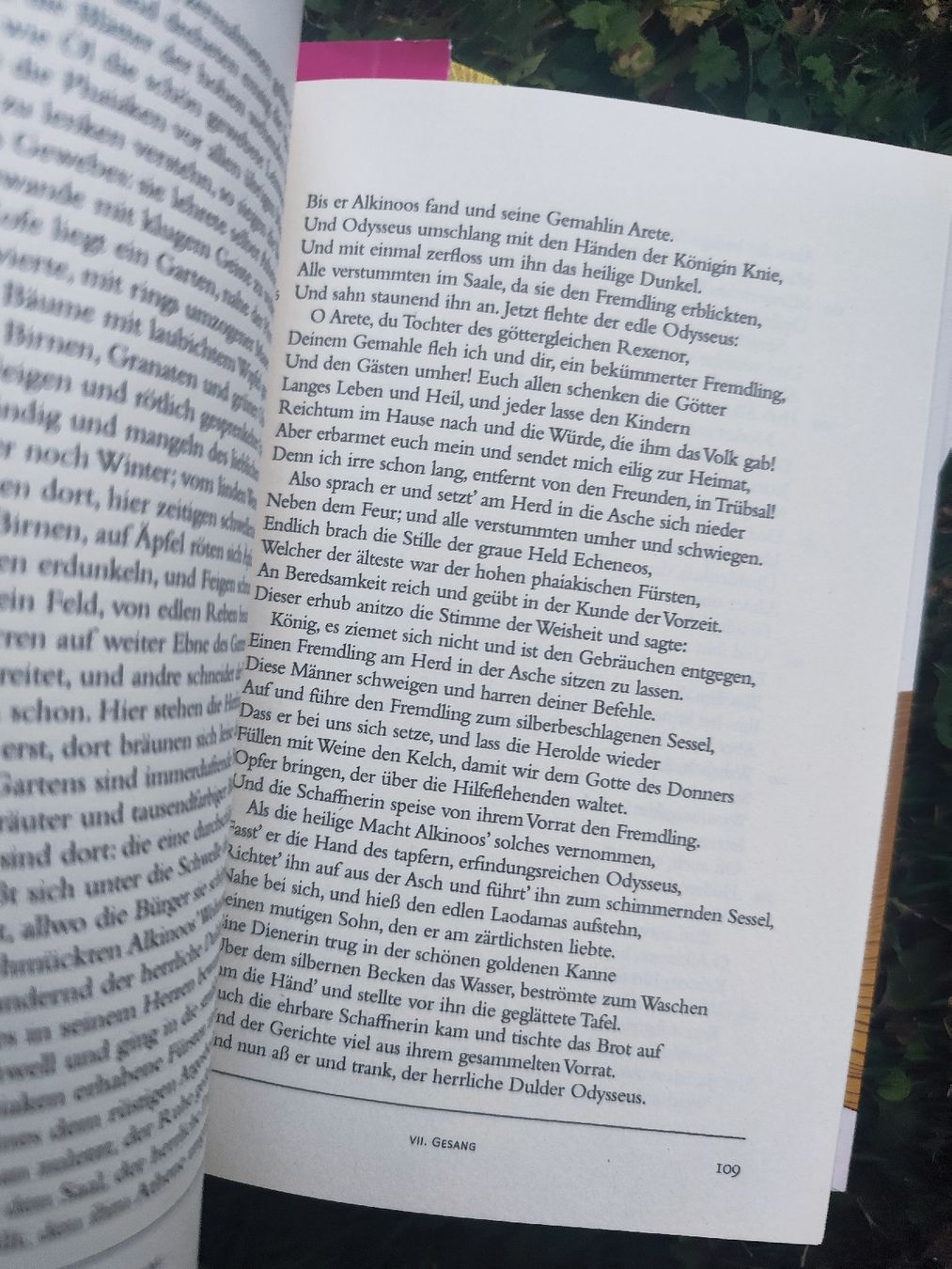 Bücher: Homer Odyssee Ilias – Gebraucht aus Mägenwil von VintageGirly 8