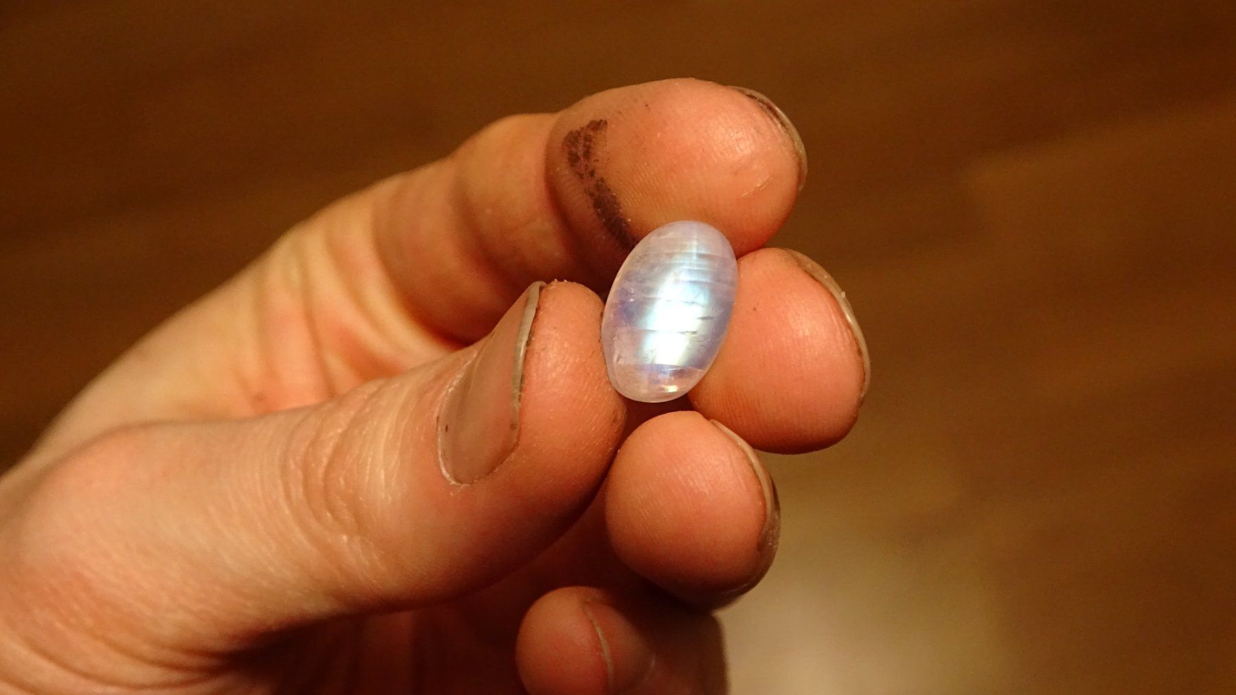Pietre preziose: 7.3ct Blue Moonstone – Nuovo e nell'imballaggio originale da Bévilard venduto da Yougems 3