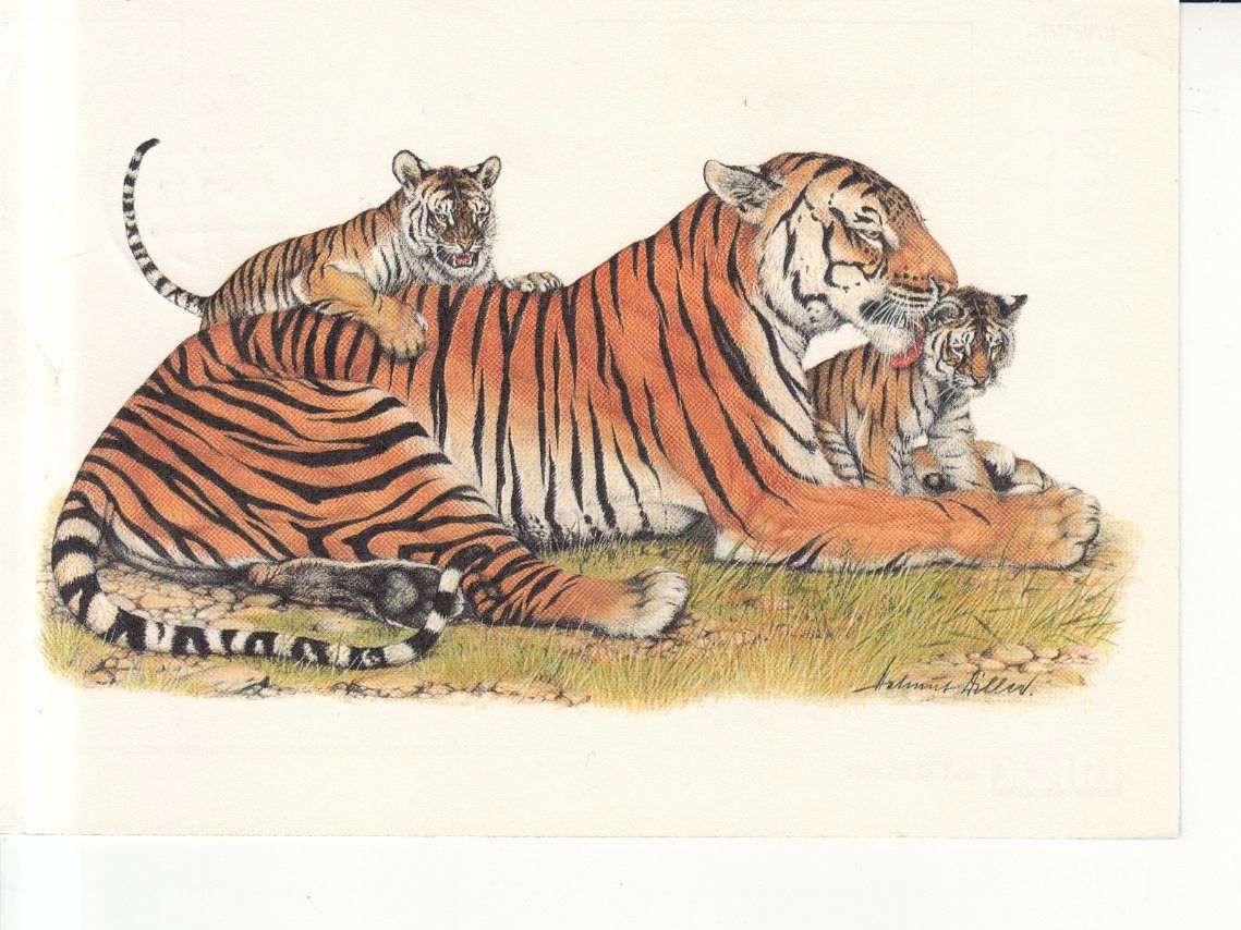Tutti i francobolli: Ballonpost WWF  Operation Tiger 1974 – Usato da Bürglen TG venduto da StampGraf 1