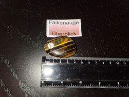 FALKENAUGE