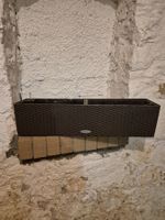 Lechuza Blumenkasten braun mit Bewässerung gebraucht