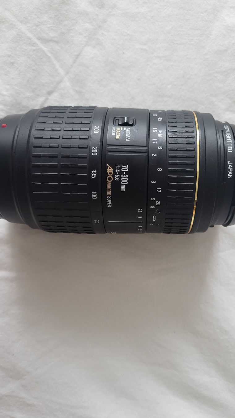 Sony Appareil photo: Sony Alpha 350 Kit – D'occasion à Rüegsauschachen par len_69hk 5