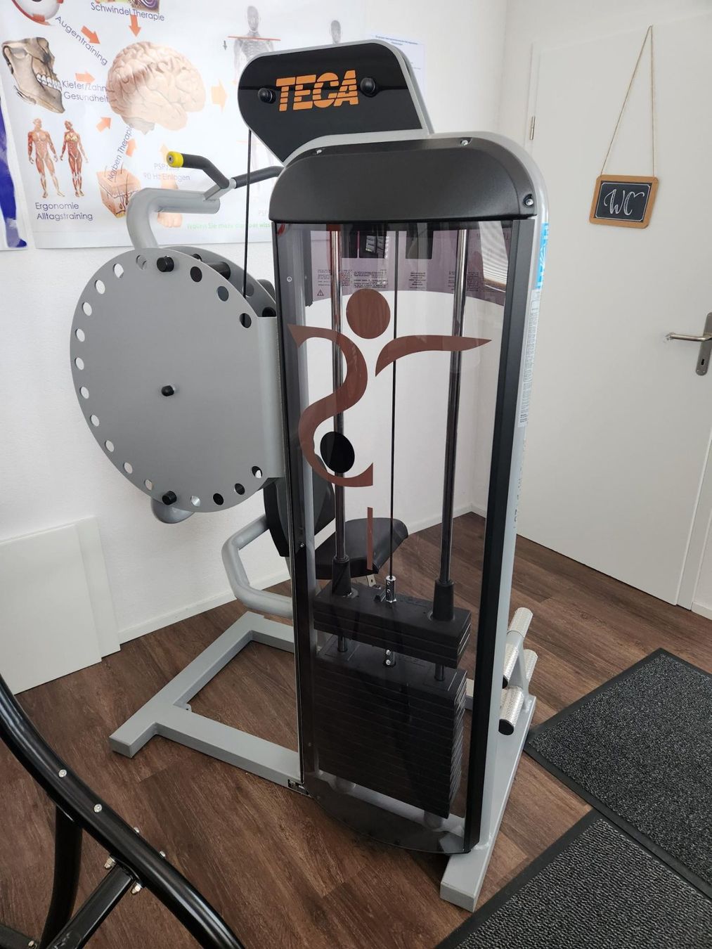 Hometrainer: Pullover TECA-SP640C Überzug Top Oberkörper Muskeltraining – Nuovo (secondo la descrizione) da Sulgen venduto da Dantealigieri 1