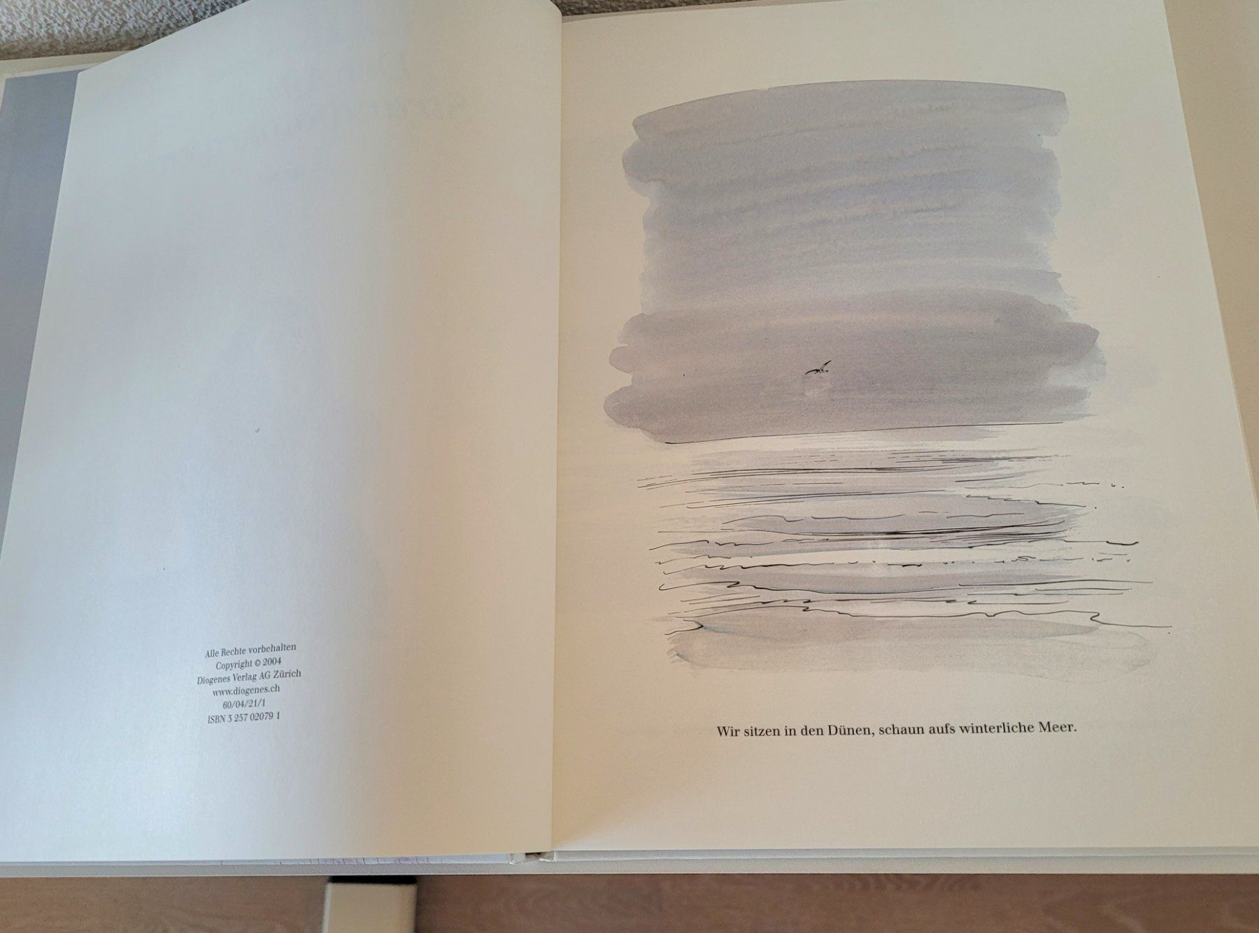 Libri: F.K. Waechter: Der Affe des Strandfotografen – Usato da Oberuzwil venduto da rtr_wp6m 1