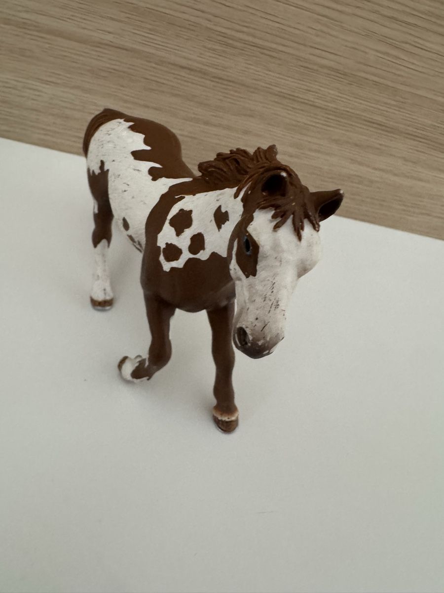 Schleich Statuette: Schleich Pinto Hengst 13616 Pferd – Usato da Sursee venduto da giu_205 2