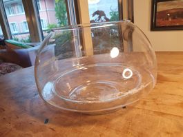 Glaskuppel Pflanzenbiotop für Sukkulenten ca 22 cm