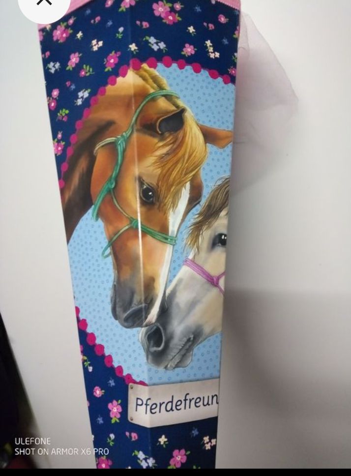 Kindertaschen: Grosse Schultüte "Pferdefreunde" – Gebraucht aus Volketswil von Car1 2