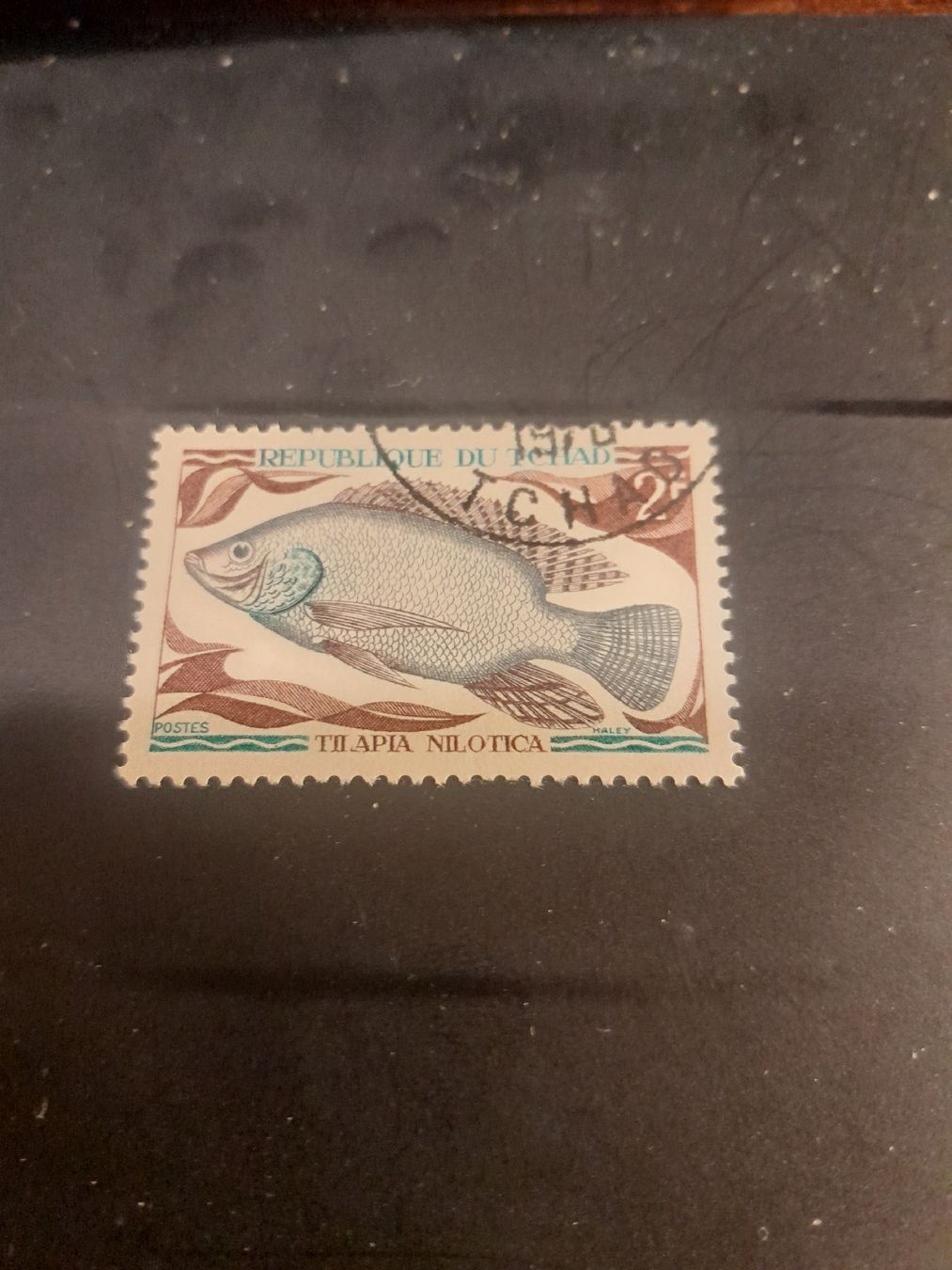 Tutti i francobolli: Timbre du Tchad - Poisson Tilapia Nilotica - Rare! – Usato da Marly venduto da globetrotter1723