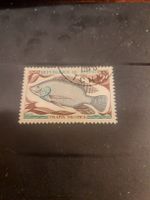 Timbre du Tchad - Poisson Tilapia Nilotica - Rare!