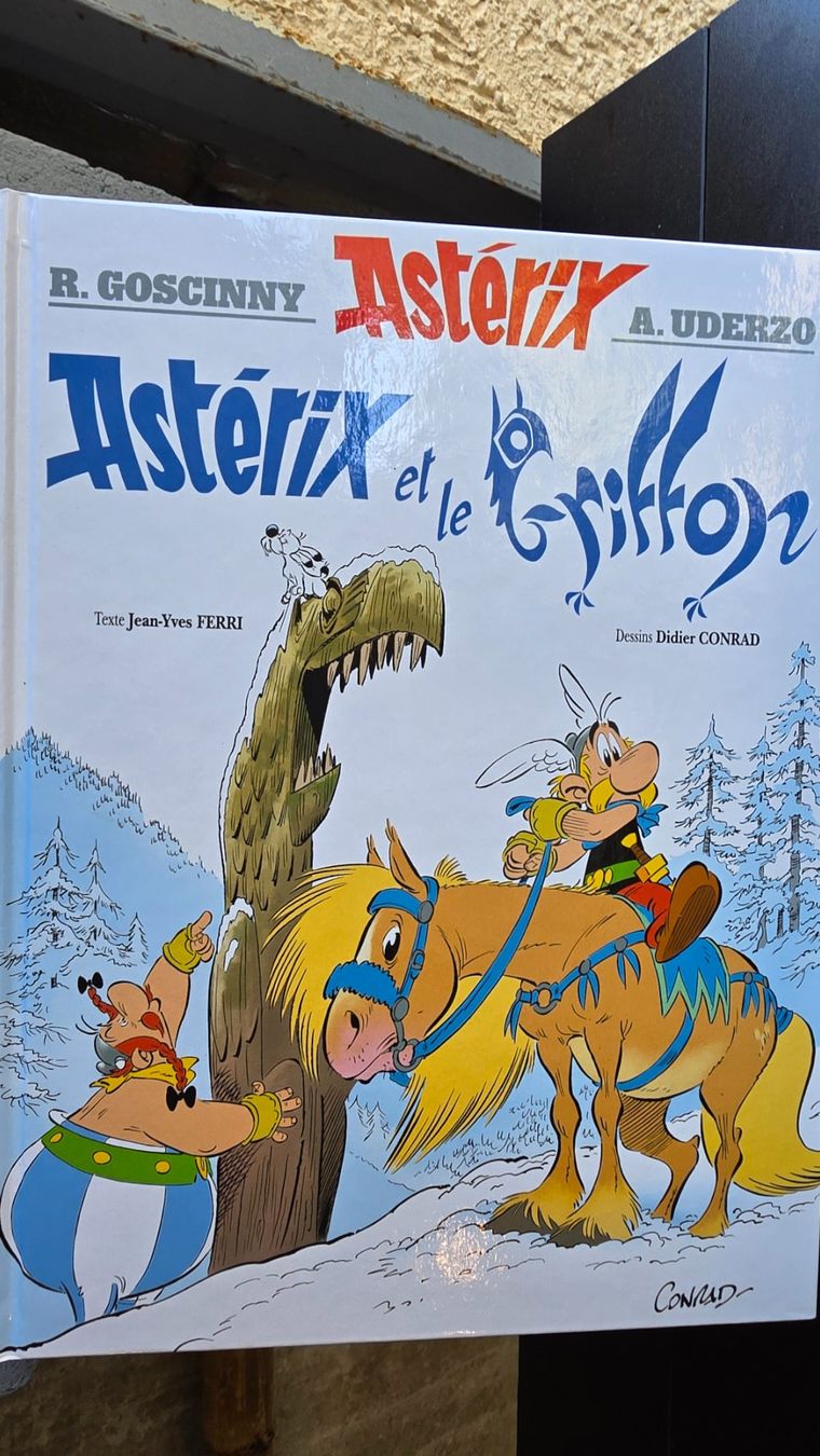 BD: Lot BD Asterix – D'occasion à Commugny par stschirru