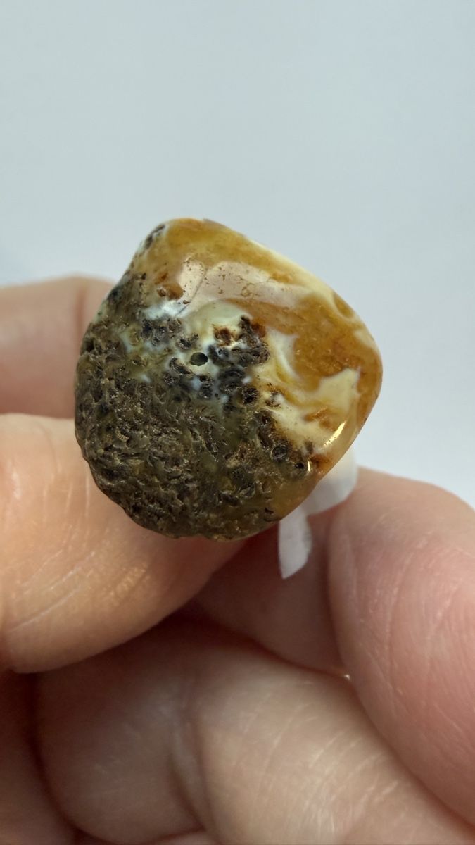 Anelli: Silberring, zweifarbige Bernstein, regulierbar – Nuovo e nell'imballaggio originale da Ebikon venduto da Leonidas2 5