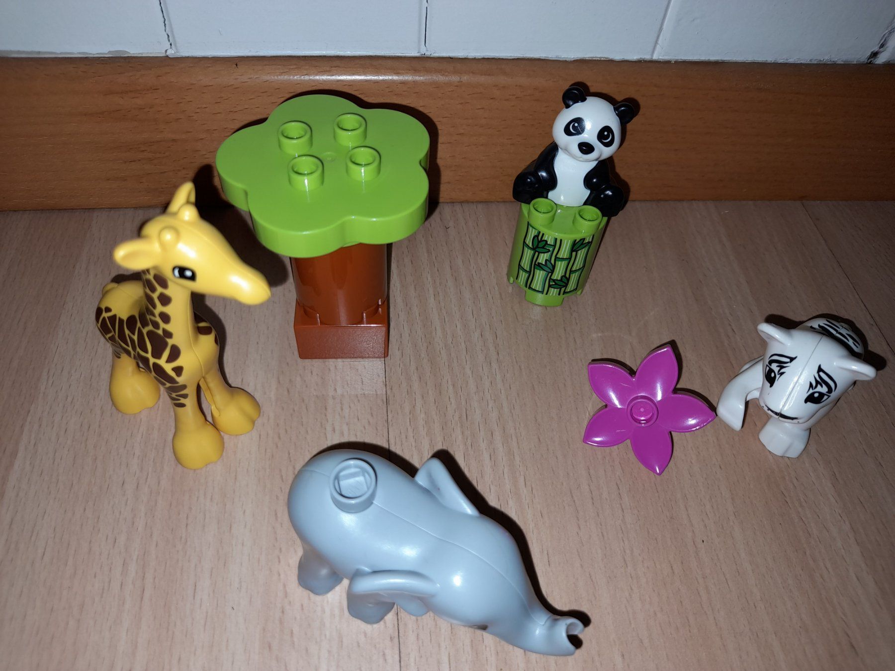Lego Spielzeuge: Lego Duplo süsse Tierkinder 10904 – Gebraucht aus Wittenbach von Gugielmo 2